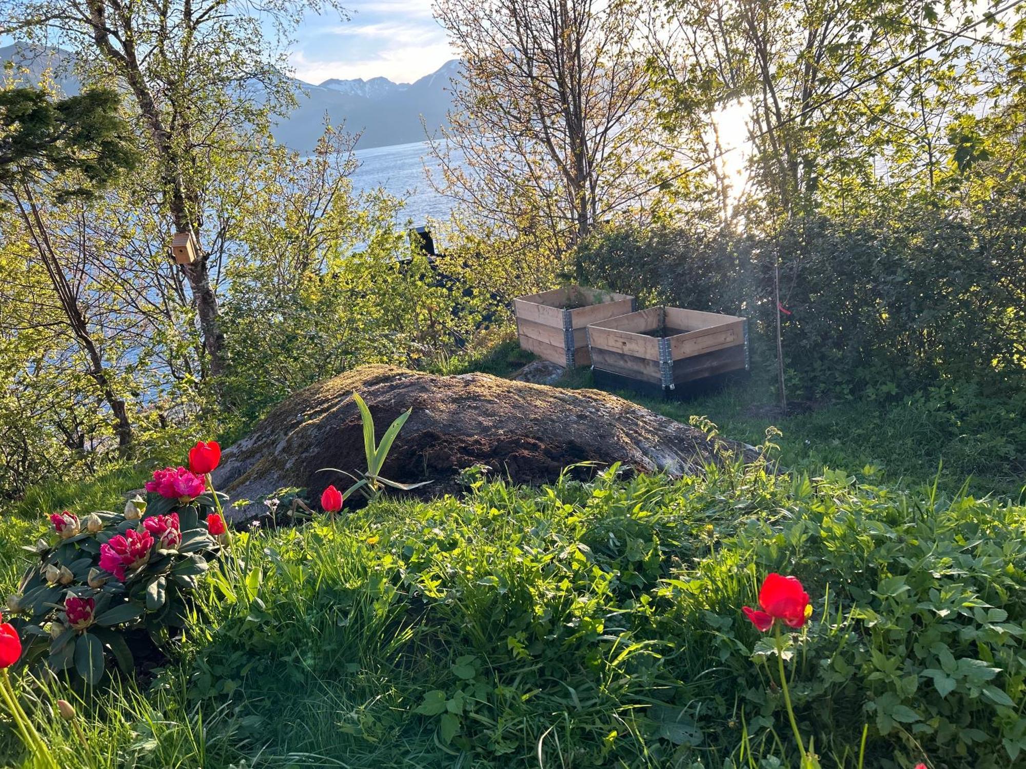 Line Pa Hauane1 Bed & Breakfast Volda Eksteriør bilde